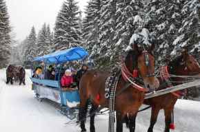 Wycieczki organizowane przez świetlice środowiskowe