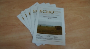 Obrazek domyslny serwisu strumien.pl