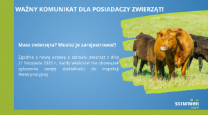 Obrazek domyslny serwisu strumien.pl