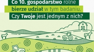Obrazek domyslny serwisu strumien.pl