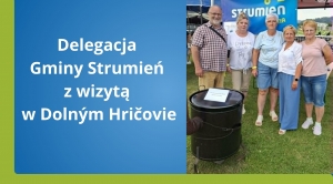 Obrazek domyslny serwisu strumien.pl