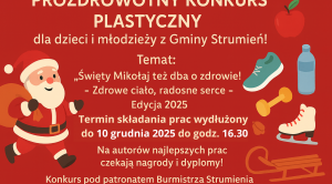 Obrazek domyslny serwisu strumien.pl