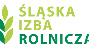 Obrazek domyslny serwisu strumien.pl