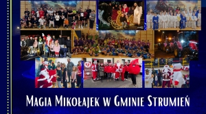 Obrazek domyslny serwisu strumien.pl