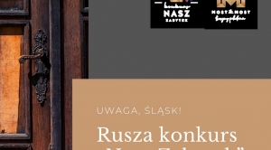 Obrazek domyslny serwisu strumien.pl