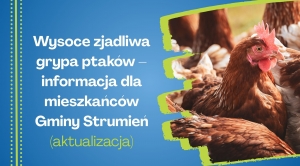 Obrazek domyslny serwisu strumien.pl