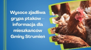 Obrazek domyslny serwisu strumien.pl