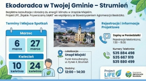 Obrazek domyslny serwisu strumien.pl