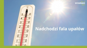 Obrazek domyslny serwisu strumien.pl