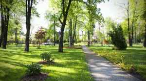 Obrazek domyslny serwisu strumien.pl
