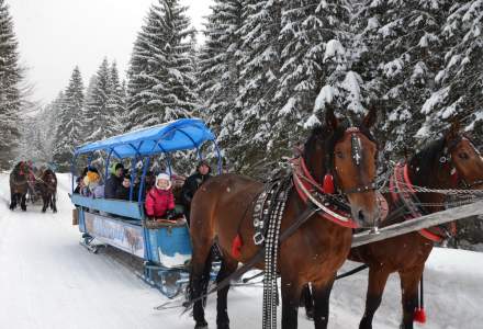 Wycieczki organizowane przez świetlice środowiskowe