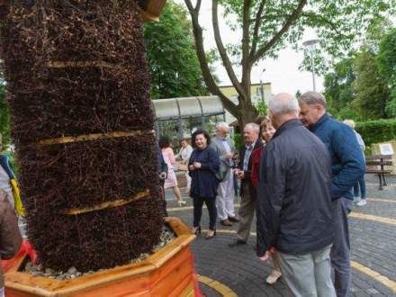 Otwarcie tężni Drogomyśl