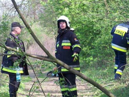 Drogomyslanie uprzatneli ścieżkę rowerową fot. edrogomysl.pl