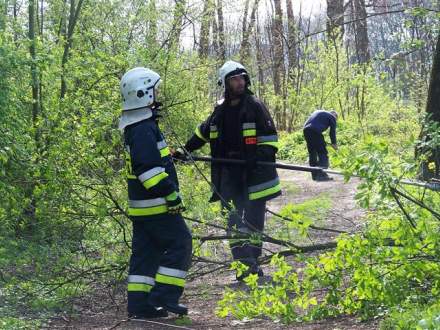 Drogomyslanie uprzatneli ścieżkę rowerową fot. edrogomysl.pl
