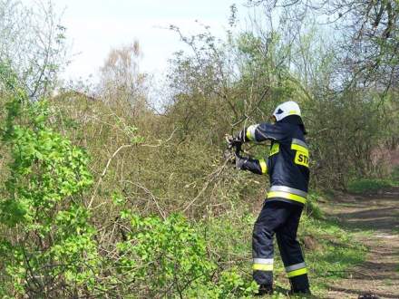 Drogomyslanie uprzatneli ścieżkę rowerową fot. edrogomysl.pl