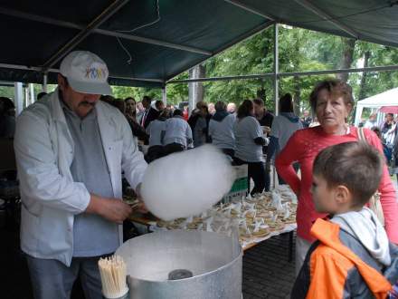 Koncert Charytatywny Dla Grzesia