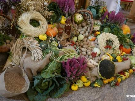 Msza Żniwna w Zabłociu