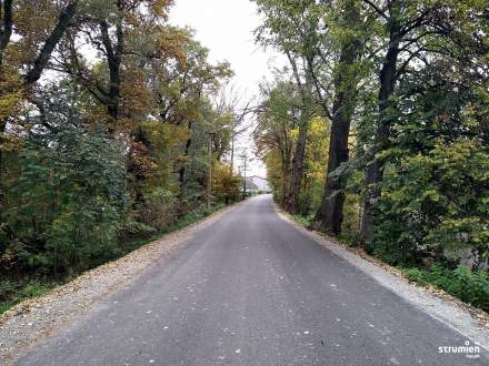 Ul. Pawłowicka po remoncie