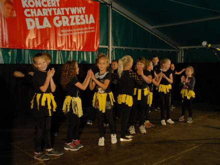 Koncert Charytatywny Dla Grzesia