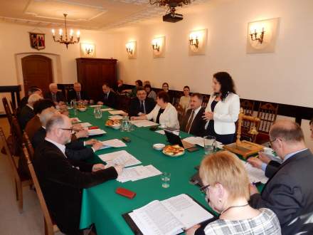 Sesja Rady Miejskiej Strumienia