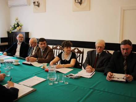 Sesja Rady Miejskiej Strumienia