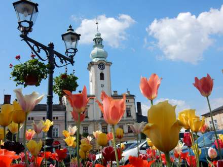 Remont Ratusza rusza niebawem