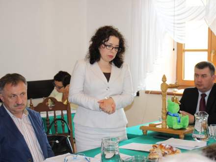 XX Sesja Rady Miejskiej Strumienia