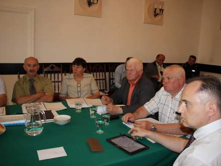 XX Sesja Rady Miejskiej Strumienia