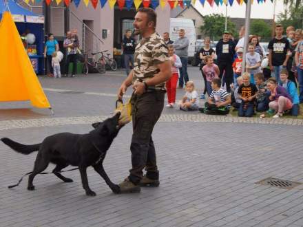 Festyn szkolny w Bąkowie 11.06.2016r.