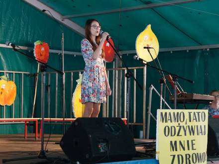 VI Szkolny Piknik Rodzinny