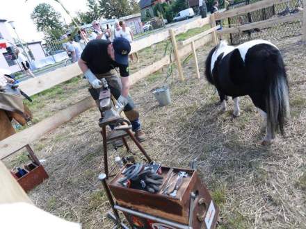 Gminne Dożynki 2016 w Bąkowie