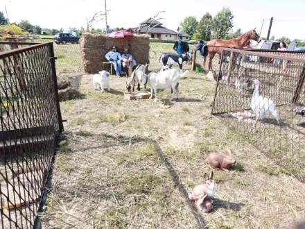 Gminne Dożynki 2016 w Bąkowie