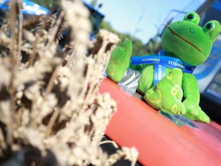 Gminne Dożynki 2016 w Bąkowie