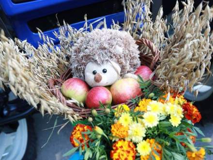 Gminne Dożynki 2016 w Bąkowie