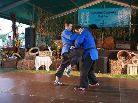 Gminne Dożynki 2016 w Bąkowie