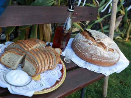 Gminne Dożynki 2016 w Bąkowie