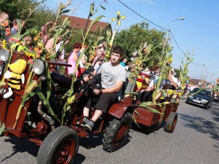 Gminne Dożynki 2016 w Bąkowie