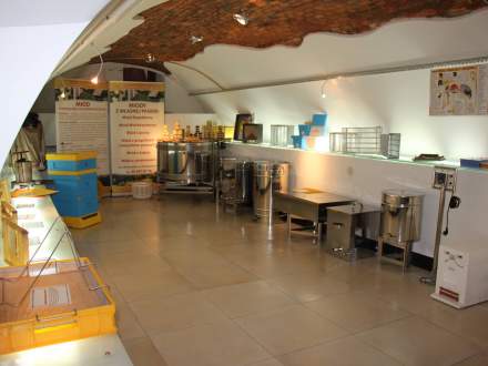 "Wystawa Pszczelarska" w Galerii Pod Ratuszem