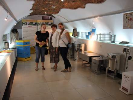 "Wystawa Pszczelarska" w Galerii Pod Ratuszem