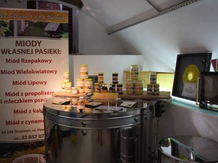 "Wystawa Pszczelarska" w Galerii Pod Ratuszem