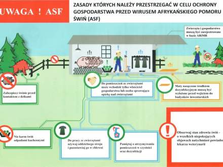 Zasady, których należy przestrzegać w celu ochrony gospodarstwa przed wirusem Afrykańskiego Pomoru Świń (ASF)