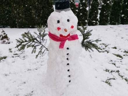 Projektowe zabawy na śniegu