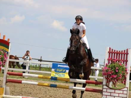 Za nami zawody jeździeckie