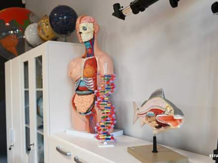 Pomoce naukowe w pracowni