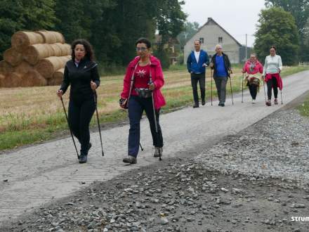 IV Marsz Nordic Walking im. mjr. Józefa Płonki w Zbytkowie