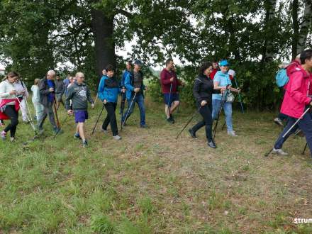 IV Marsz Nordic Walking im. mjr. Józefa Płonki w Zbytkowie