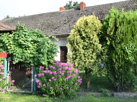 Spacer edukacyjny w Zbytkowie