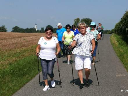 Marsz Nordic Walking w Pruchnej