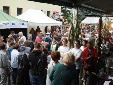 Dożynki Gminne 2022