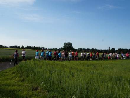 Marsz Nordic Walking